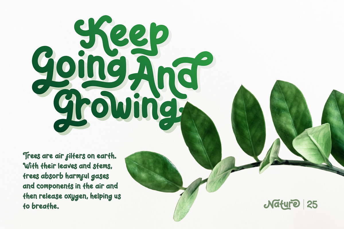 Reaf Singer Playful Font, a Script Font by Dicubit (Photo 5 of 9)