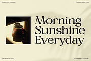 Alverich - Modern Serif Font, a Serif Font by Comactype Foundry (Thumbnail 18 of 22)