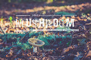 mushroom pack, a Templates & Theme by ApertureVintage (Thumbnail 3 of 4)