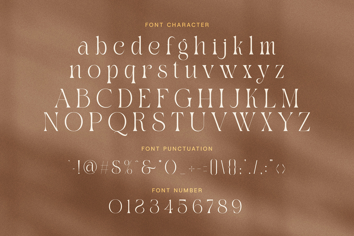 Drak Sistem Elegant Swash Serif Font, a Serif Font by Elegant Font (Photo 7 of 8)
