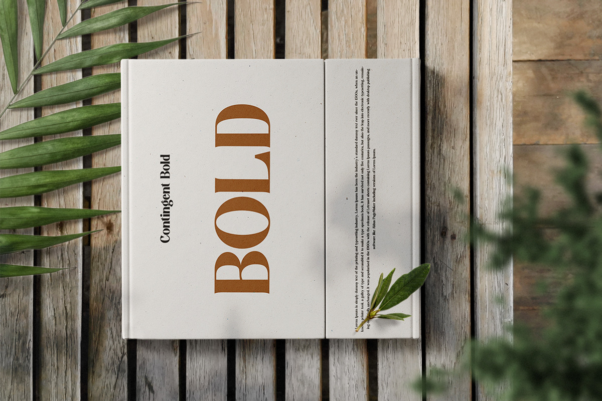 Contingent Font Duo, a Serif Font by Typehill (Photo 7 of 7)