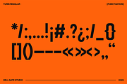 Turin Modern Sans Display, a Sans Serif Font by GRVS Studio (Thumbnail 5 of 14)
