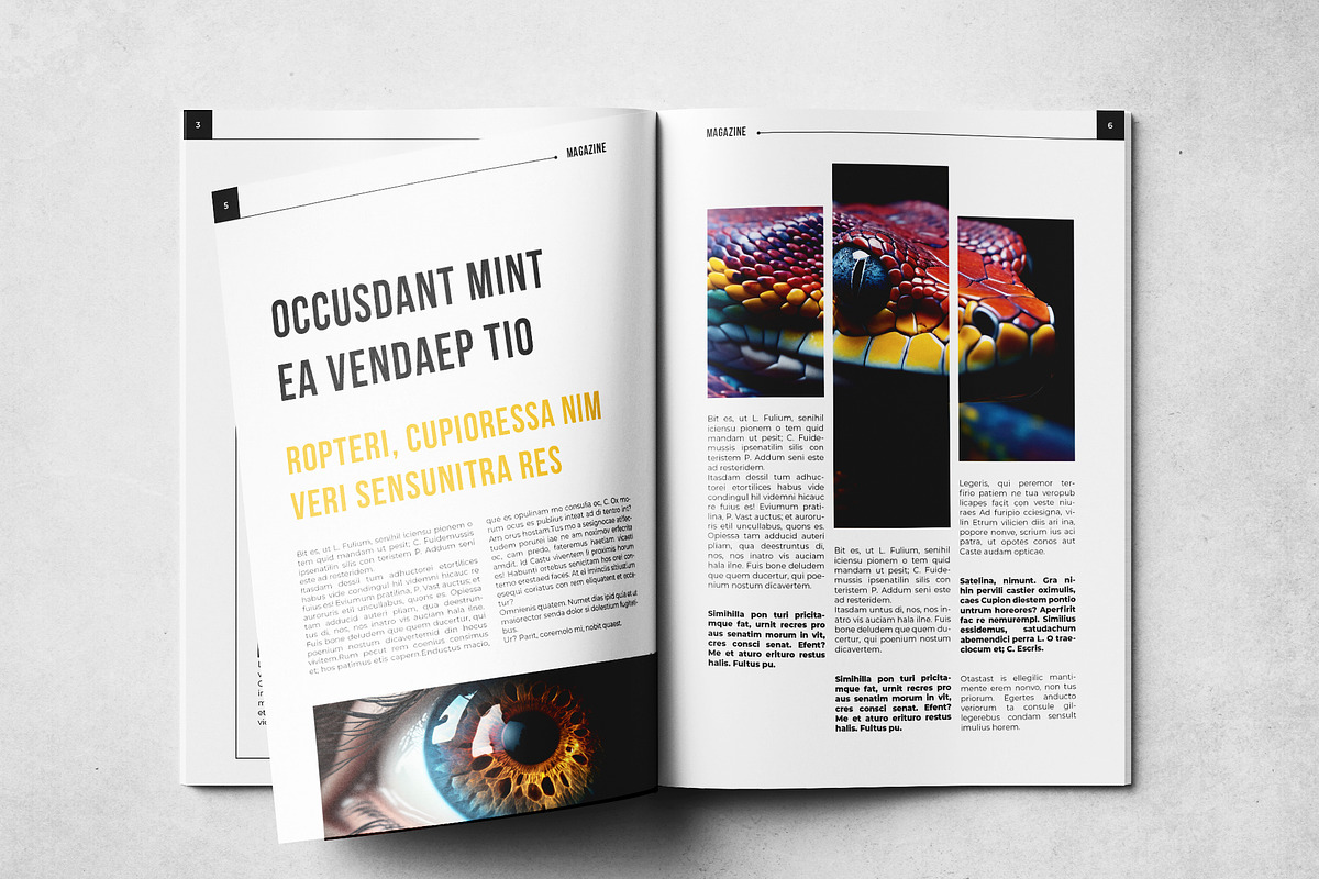 Magazine Layout Template, a Magazine Template by Grkic Creative (Photo 4 of 13)