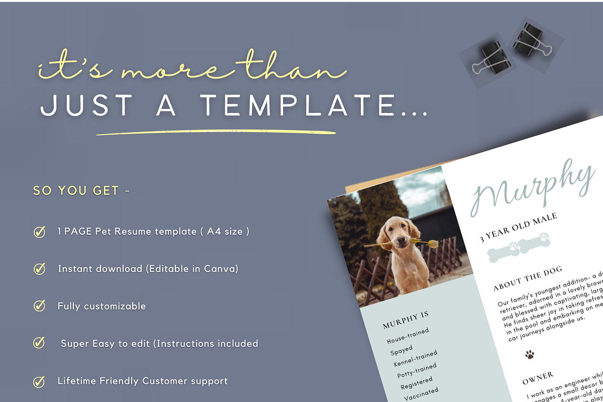 Pet Rental Application Resume, a Flyer Template by Climbwithelevator (Photo 4 of 5)
