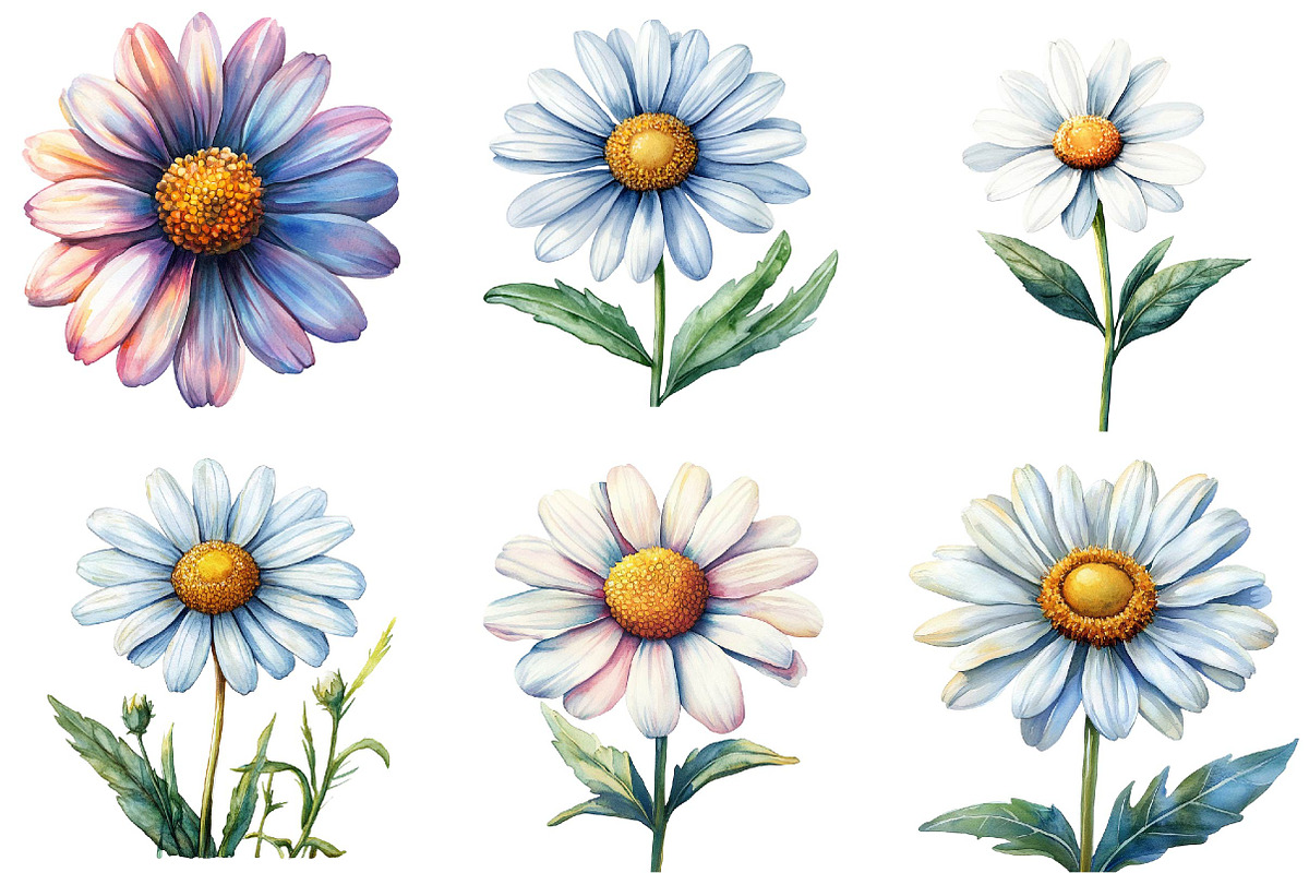 Watercolor Spring Daisy Flower Clipa, an Illustration by DreamPrint404 (Photo 4 of 7)
