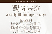 Harfterd Modern Serif Font, a Serif Font by Letterena Studios (Thumbnail 13 of 15)