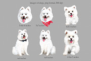Samoyed dog watercolor clipart., an Animal Illustration by SavinV (Thumbnail 2 of 6)