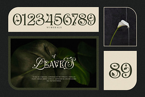 Mobalys Typeface