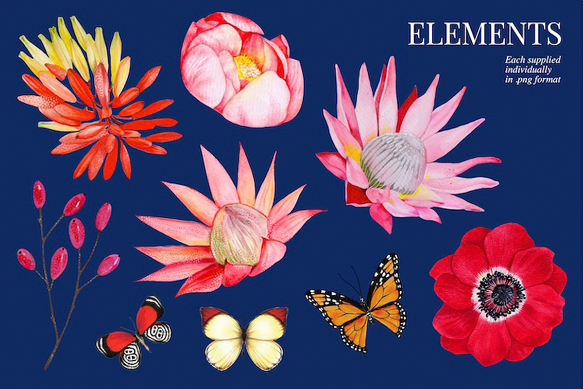 Exotic Wilderness, a Decorative Illustration by Dana Designs (Photo 4 of 18)