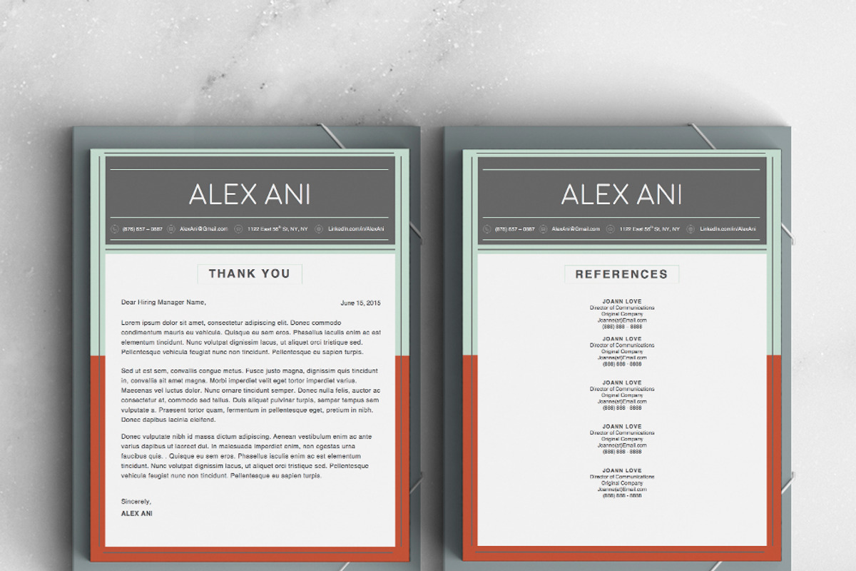 Alex Ani Modern 2-Page Resume, a Resume Template by Stand Out Shop (Photo 3 of 4)