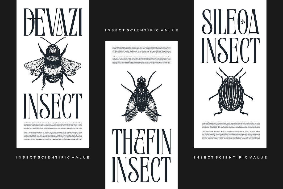 Baquine || Classy Serif Display Font, a Serif Font by Ermedia Studio (Photo 4 of 10)