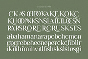 Remains Stepping Ligature Serif Font, a Serif Font by Graphicxell (Thumbnail 17 of 17)