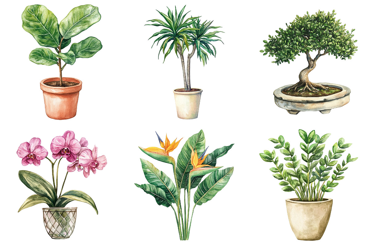 Watercolor Home Plants Clipart, an Illustration by Daily.Designs (Photo 5 of 5)