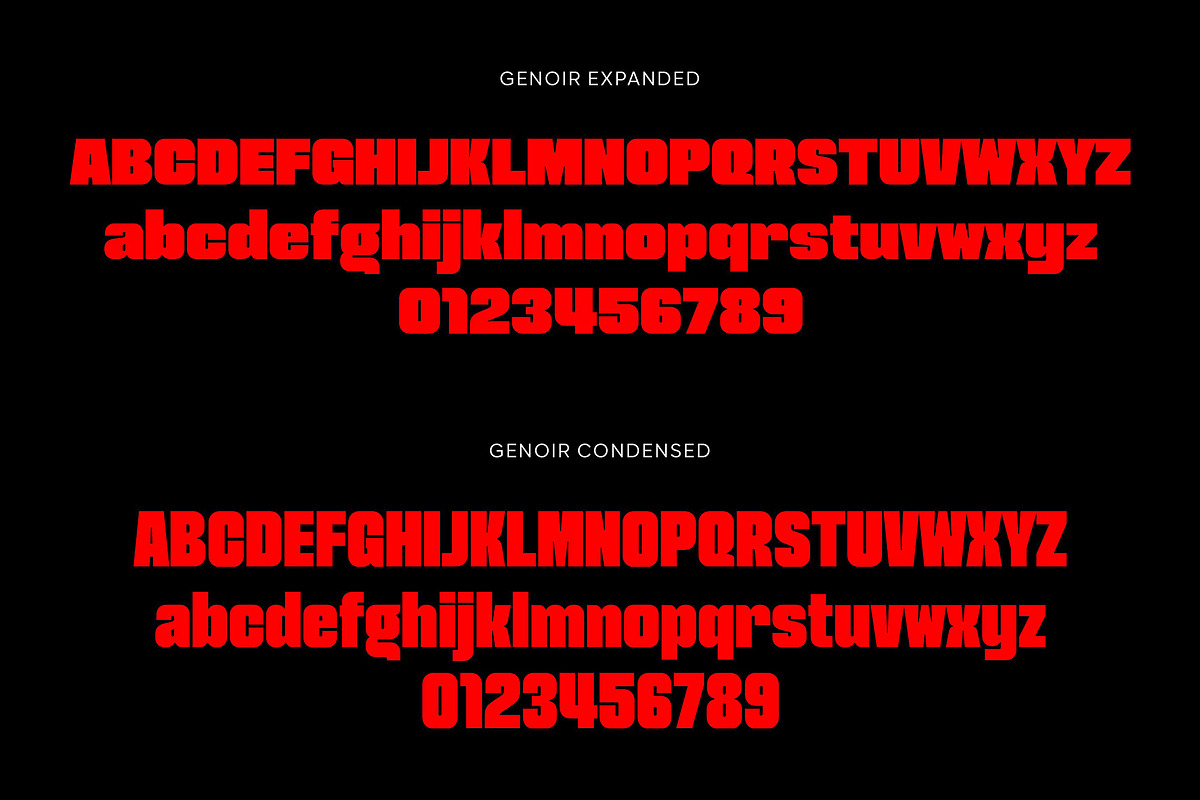 Genoir – Bold Display Font Family, a Font by Digitype Studio (Photo 10 of 10)
