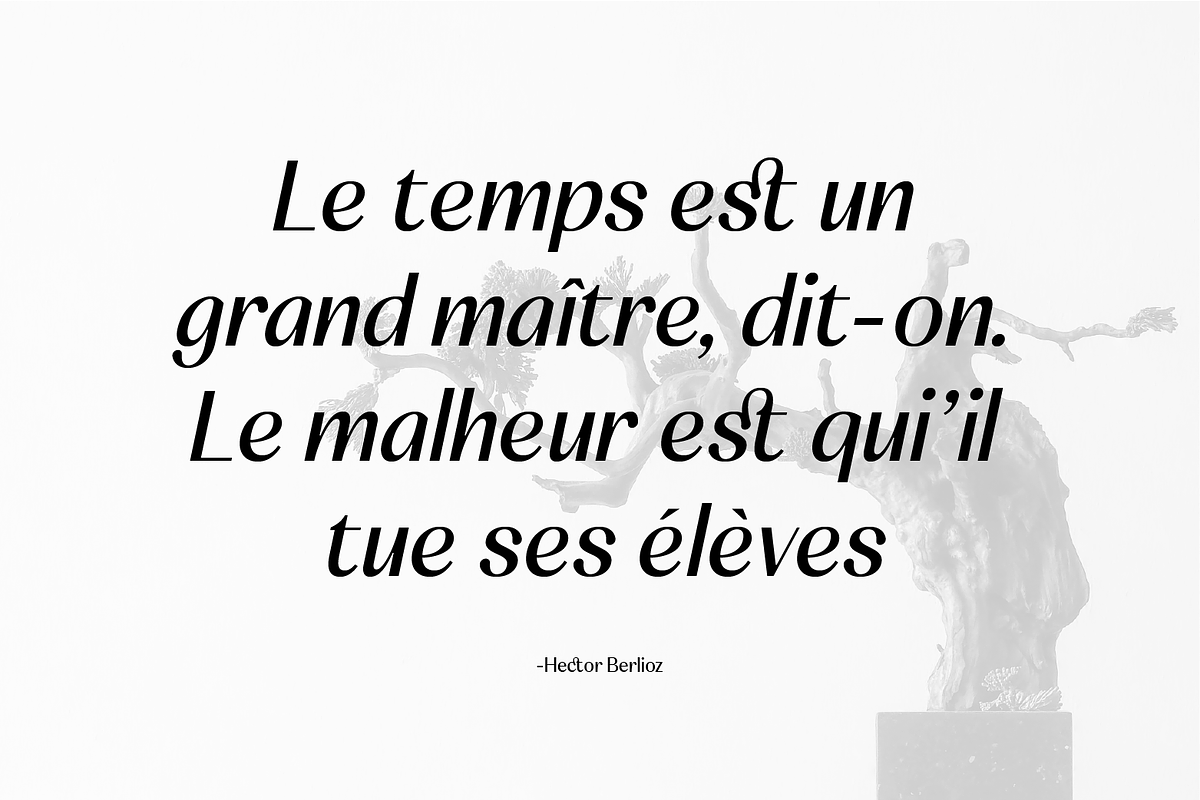 SS Canelope - Timeless Sans Font, a Sans Serif Font by Typocracy Studio (Photo 7 of 10)