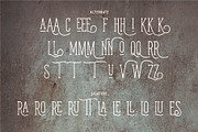 WESTERN STORY - Vintage Slab Serif, a Slab Serif Font by Havinkpen (Thumbnail 6 of 7)