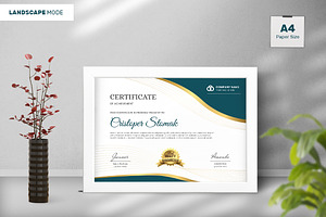 Cristoper Stomak Certificate