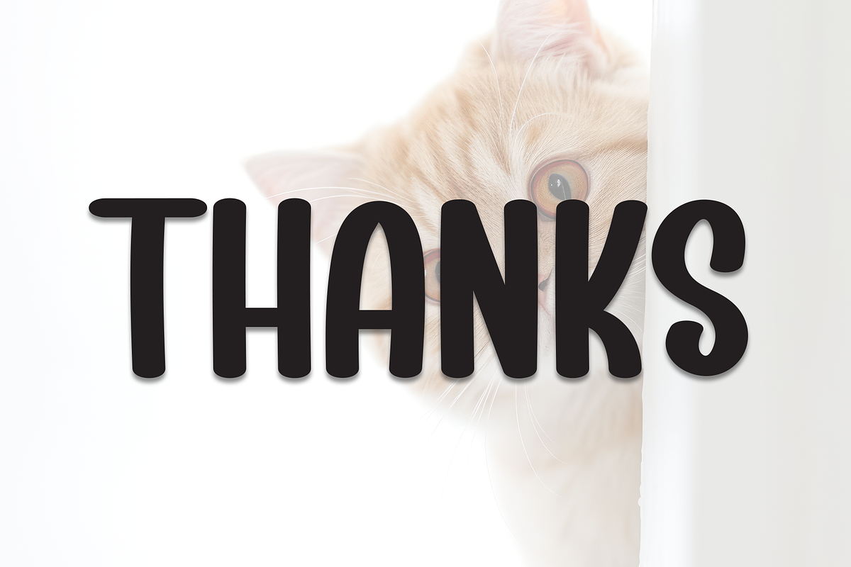 Cute Cats | Script Font, a Script Font by Scratchones (Photo 8 of 8)