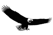 50 Flying Eagle Silhouette Vector Bu, an Illustration by Designs_River (Thumbnail 18 of 51)