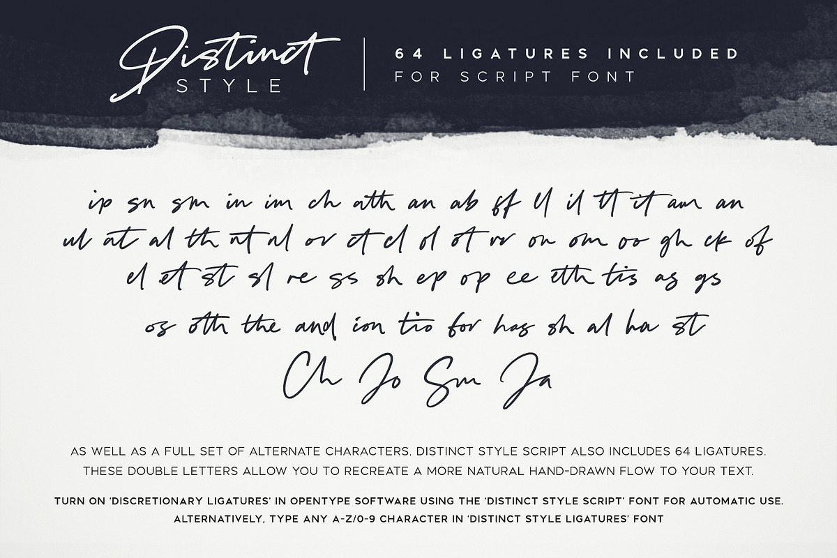 Distinct Style Font Duo preview 8