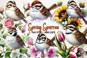 Spring Sparrow Bird Clipart, a Work Illustration by OK Design