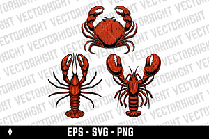 Set of illustrations of a lobster, an Animal Illustration by Vectorhight