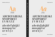 Hecate Display Modern Editorial Font, a Serif Font by roomspace creative lab (Thumbnail 6 of 14)