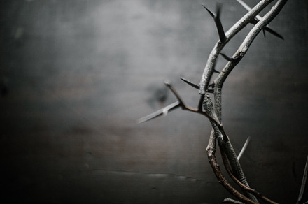 Crown of thorns containing dark, wood background, and crown of thorns
