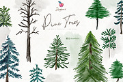Pine Tree Clipart, Watercolor 109, an Illustration by Drawberx (Thumbnail 3 of 9)