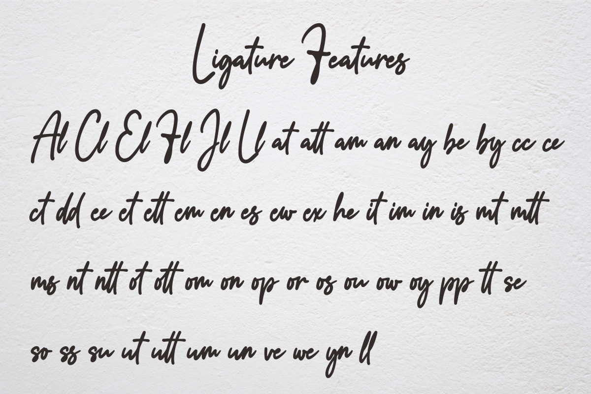 Addison Brother, a Script Font by NJ Studio (Photo 11 of 12)