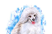 Watercolor Dogs Mega Big Bundle, an Illustration by Dneprstock (Thumbnail 51 of 60)