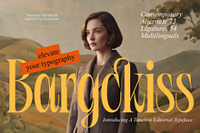 Bargckiss Contemporary Serif Display