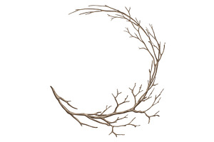 Frame With Dry Bare Branches