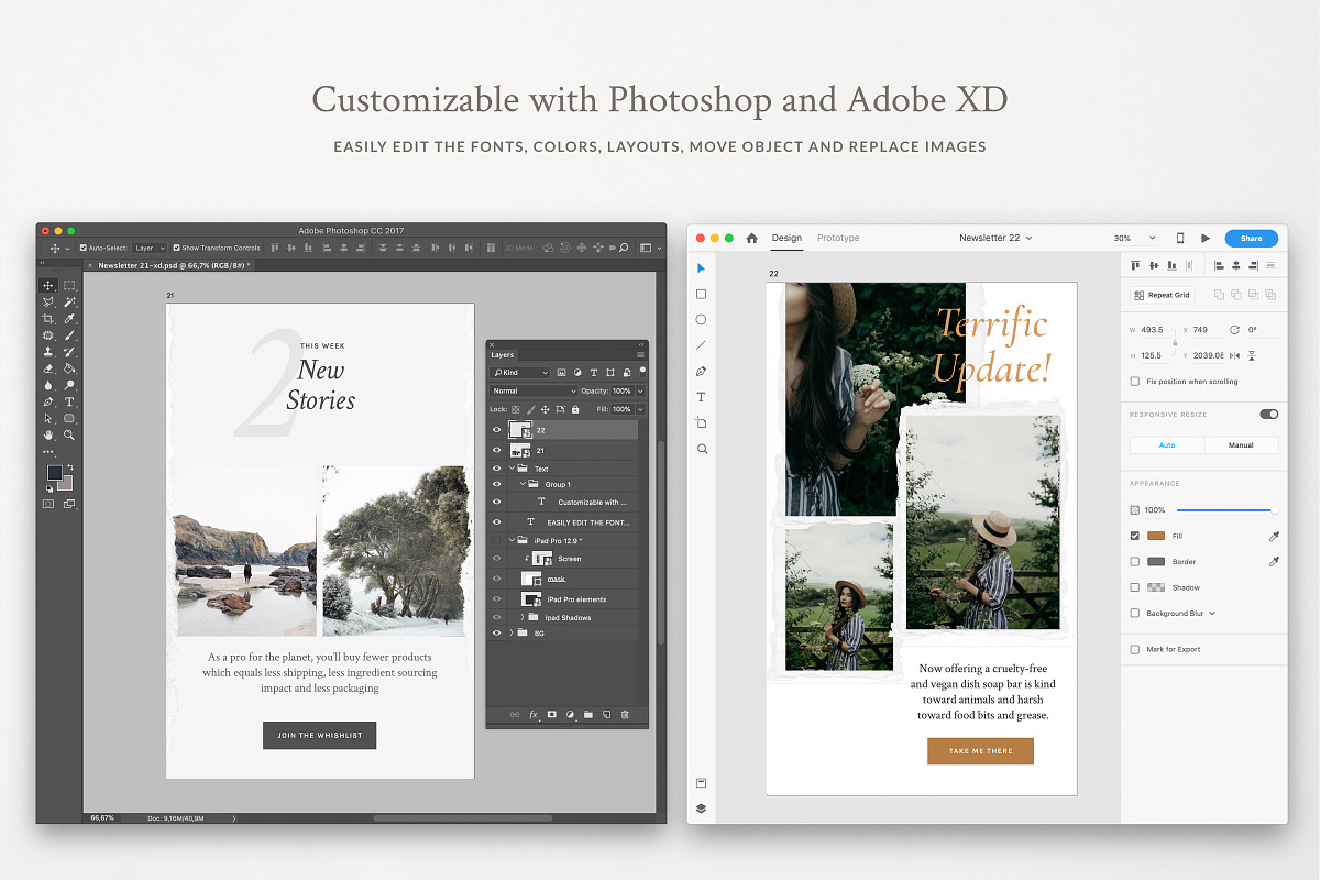 Paper Newsletter Templates, an Email Template by Sparrow & Snow (Photo 9 of 9)