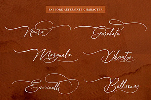 Sandrina- Elegant Script Font