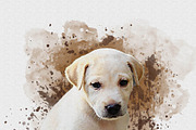 Dog Watercolor Painting Bundle, an Action Add-On by Photoshop Action (Thumbnail 13 of 14)
