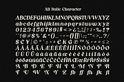 Nordhin - Classic Serif Display Font, a Serif Font by MaikoHatta (Thumbnail 8 of 9)