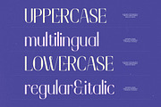 Cultural Festival Modern Serif, a Sans Serif Font by timelesstype.co (Thumbnail 18 of 20)
