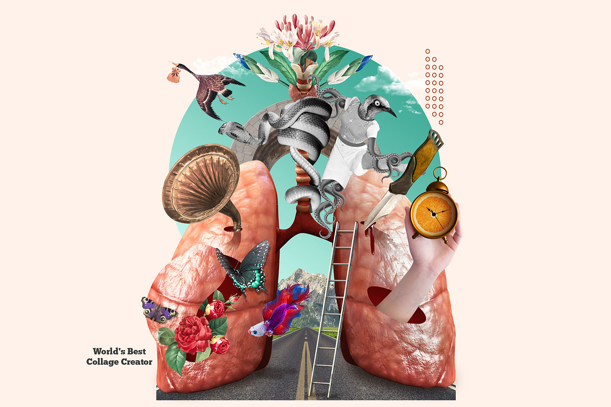 World's Best Collage Creator, an Animal Illustration by SNIPESCIENTIST (Photo 13 of 48)