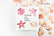 Seashells Clipart Collection, a Seasonal Illustration by Leonaa art (Thumbnail 3 of 9)