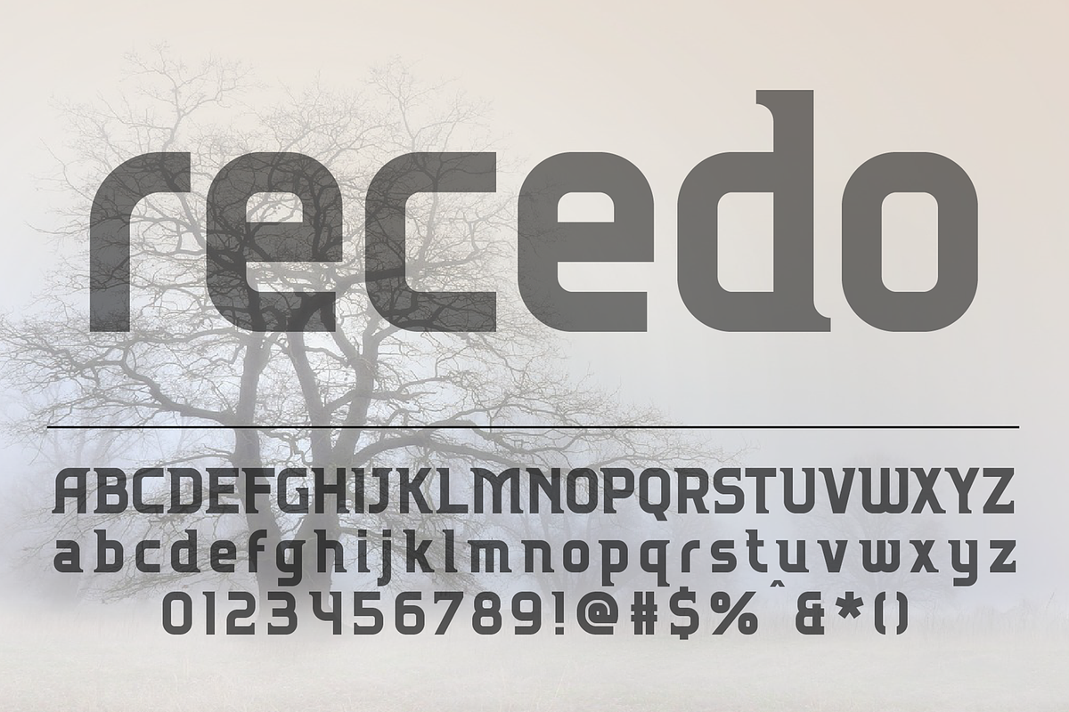 Recedo font family, a Sans Serif Font by vlad.berla (Photo 2 of 6)