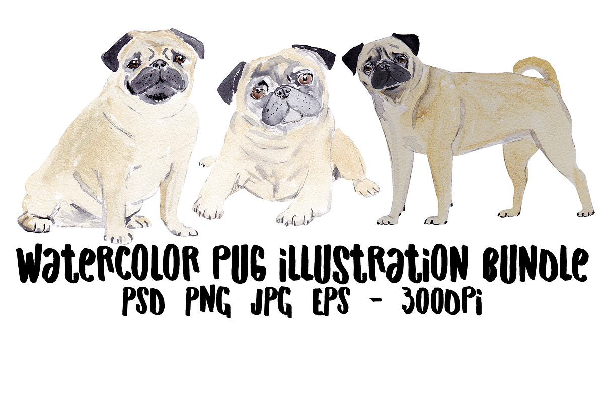 Pug Dog Illustration Bundle, an Illustration by Foxery Digital (Photo 1 of 8)