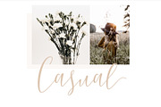 Berlinsa Script Font - Update!, a Script Font by FadeLine Studio (Thumbnail 3 of 6)