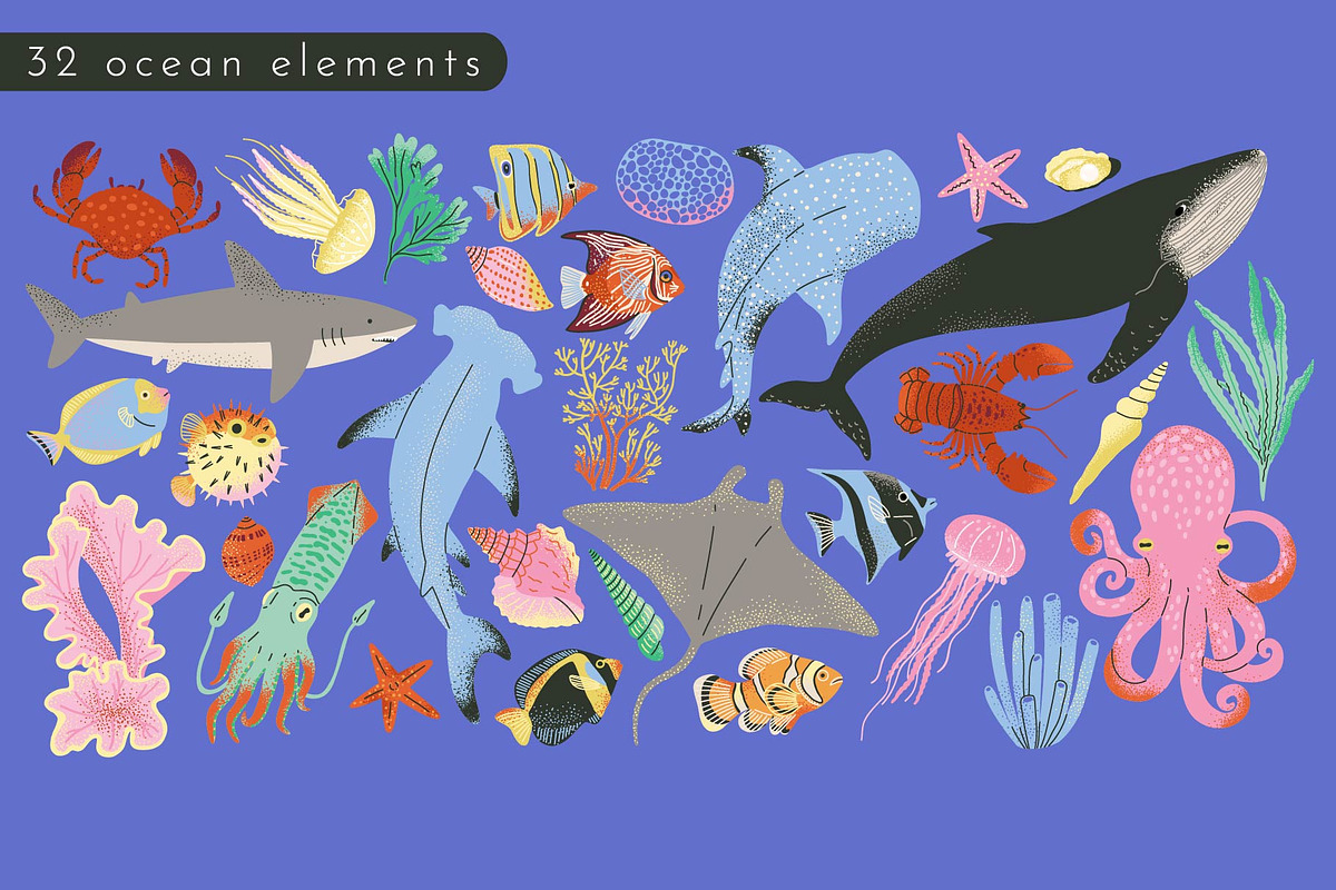 FUNKY OCEAN: clipart, pattern, an Animal Illustration by Elliko shop (Photo 3 of 8)