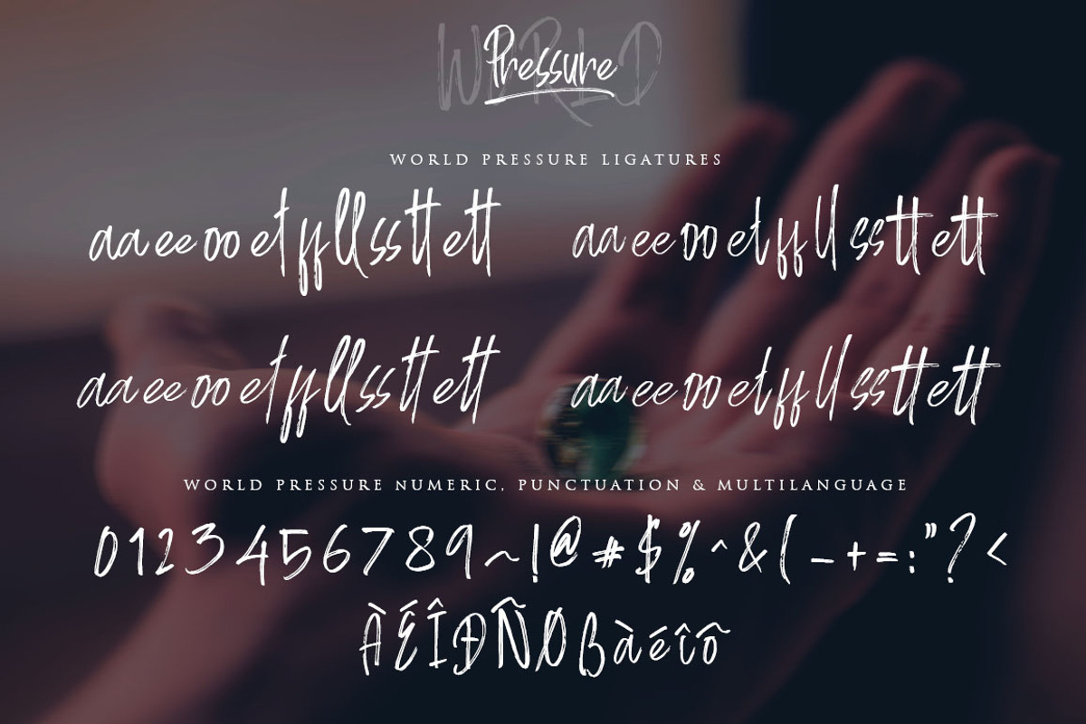 World Pressure / 4 Brush Styles, a Script Font by Haksen (Photo 7 of 8)