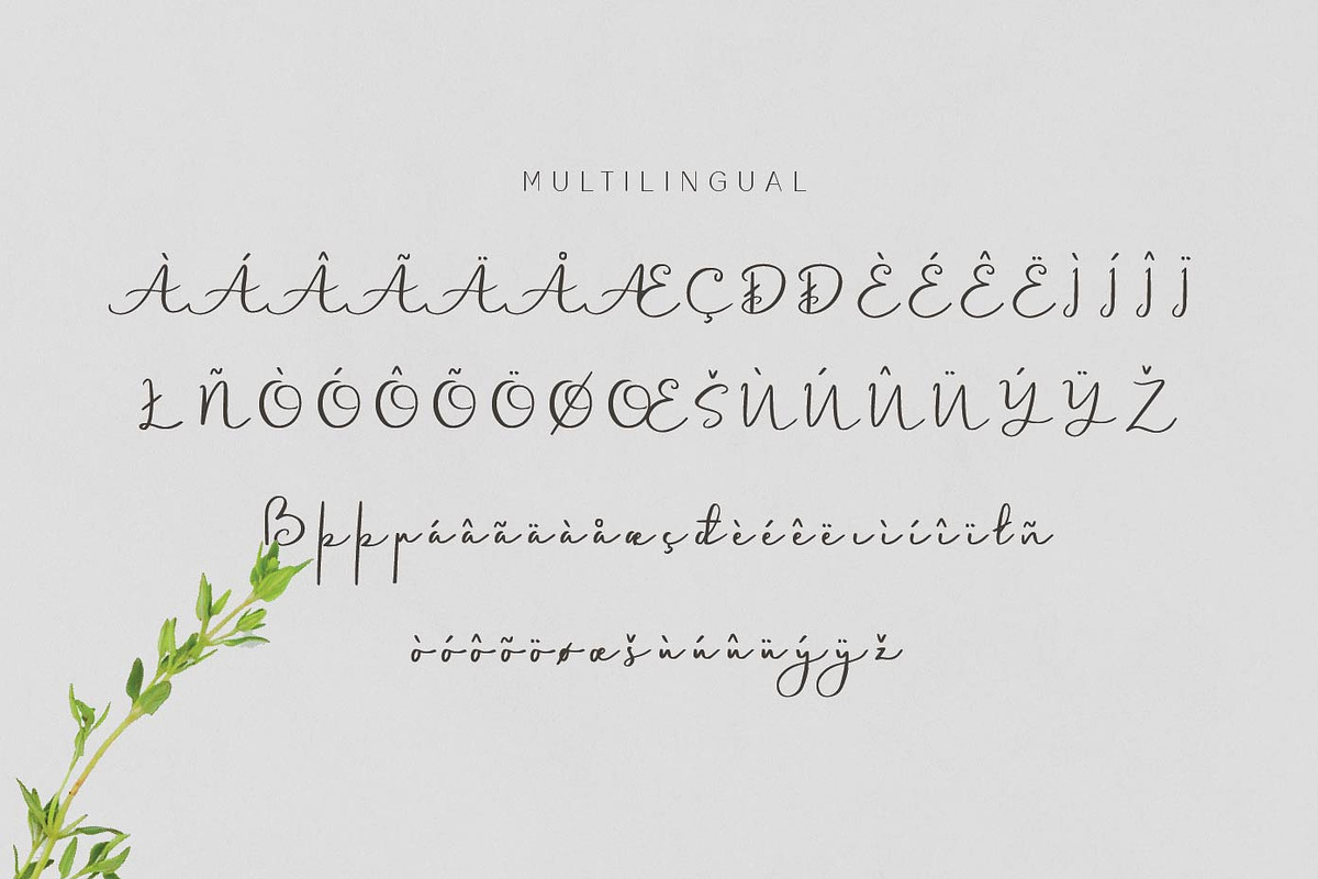 Belontang Signature Script, a Script Font by Patria Ari (P4tcreativa) (Photo 9 of 9)