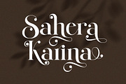 Qid Bronste Elegant Serif, a Serif Font by Perfectype (Thumbnail 3 of 9)