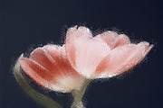 Glass Texture Effects Set II, a Texture Graphic by Bilgep_design (Thumbnail 16 of 16)
