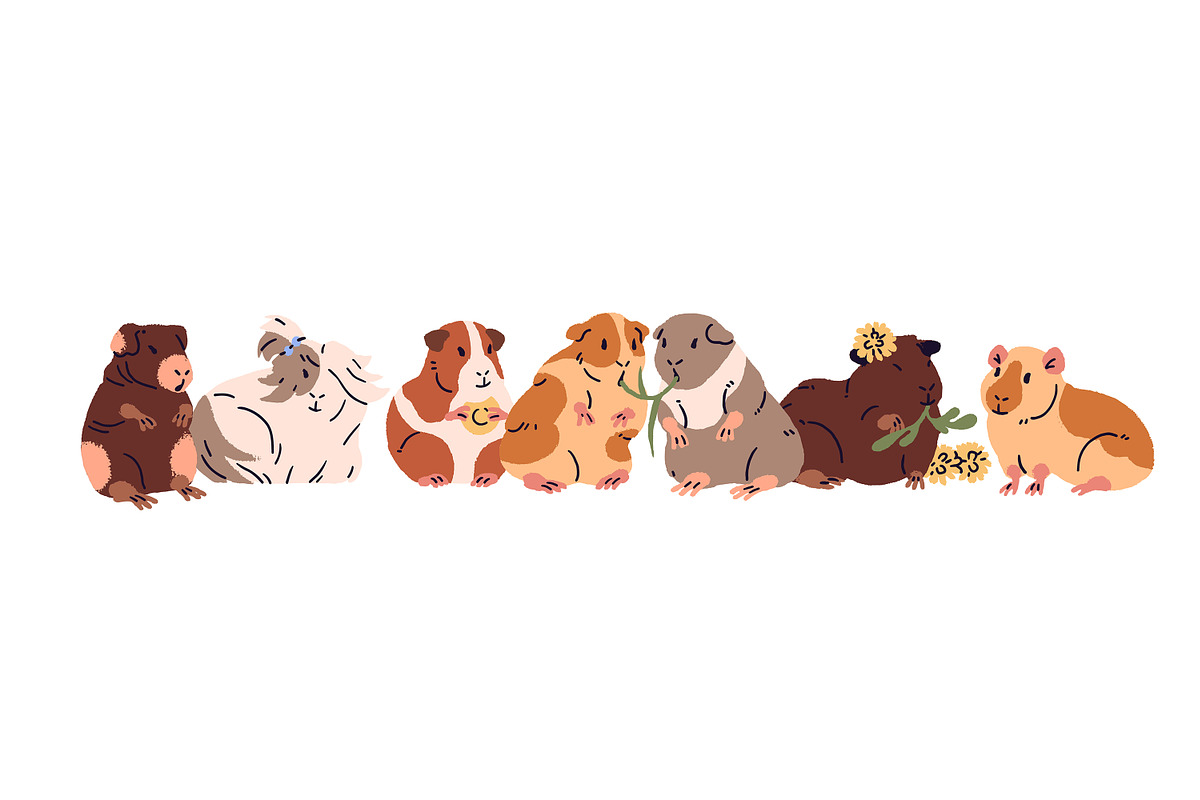 Funny guinea pigs set + patterns, an Animal Illustration by PaperTrident (Photo 5 of 5)