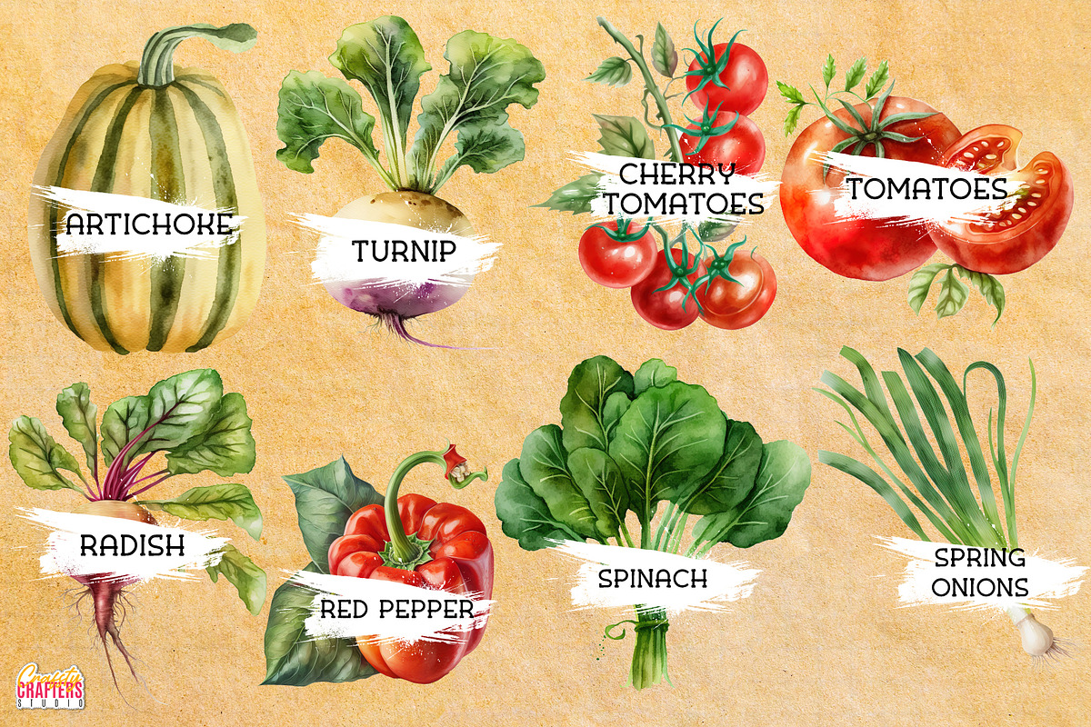 55 Vegetables Watercolor Clipart PNG, a Graphic by Craftsy Crafters (Photo 4 of 6)